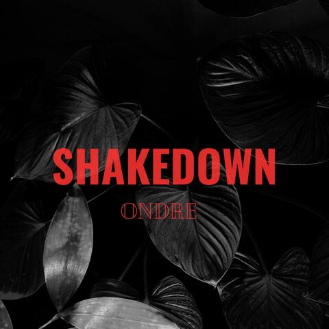 SHAKEDOWN album art