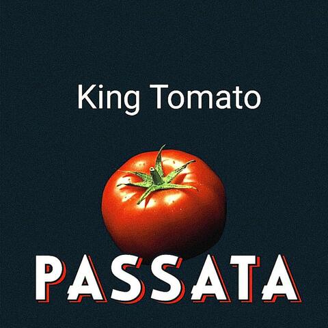 Passata (bozze dubplate) album art