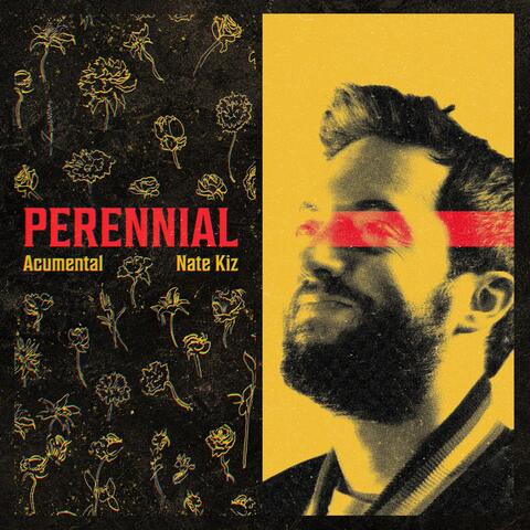 Perennial album art