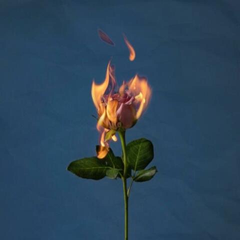 TROUBLE album art