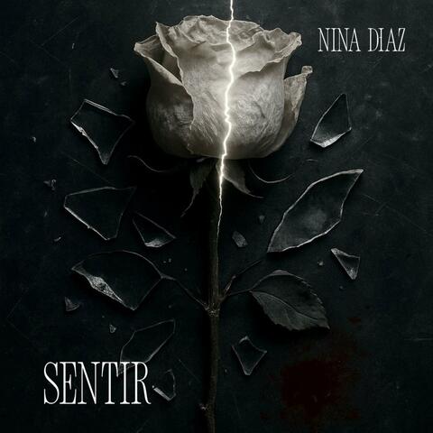 Sentir album art