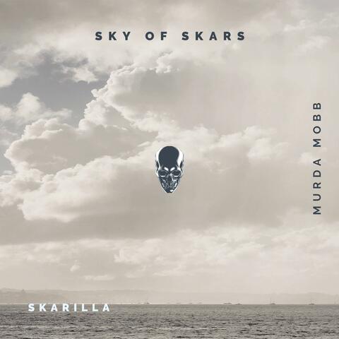 SKY OF SKARS album art