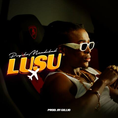 Lusu album art