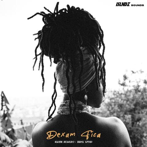 Dexam Fica (feat. Black Spygo) album art