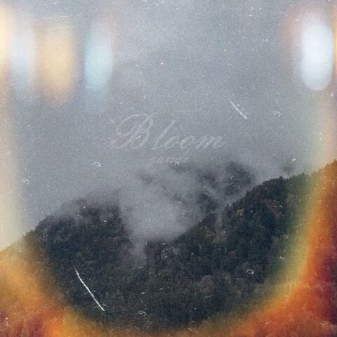 Bloom album art