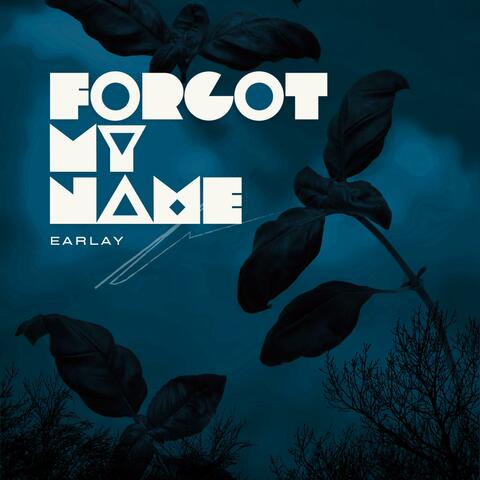 Forgot my name album art