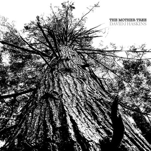 The Mother Tree album art