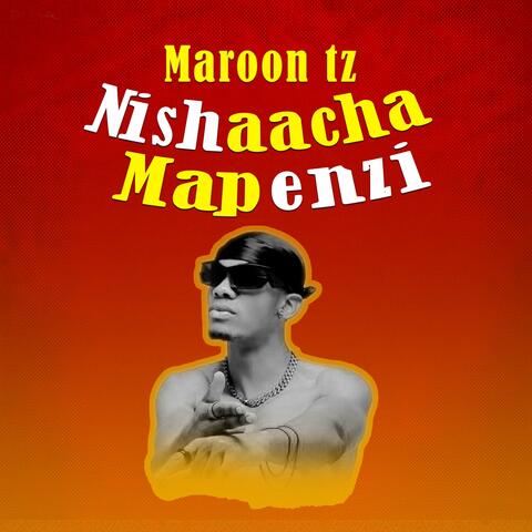Nishaacha mapenzi album art