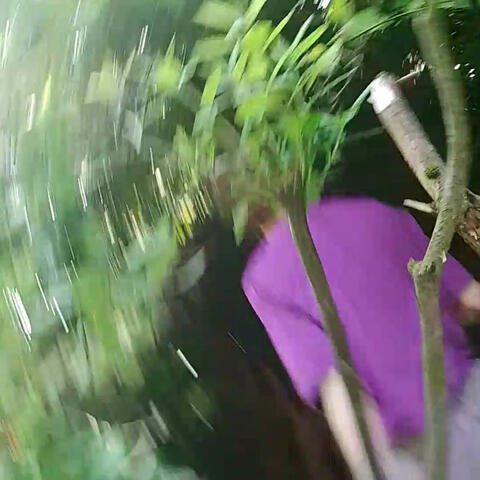 purple pyjamas (remastered) album art