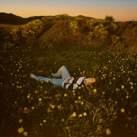 don't be gone for long album art