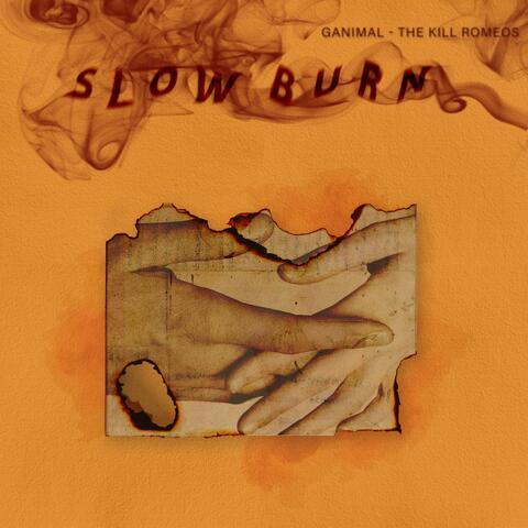 Slow Burn album art