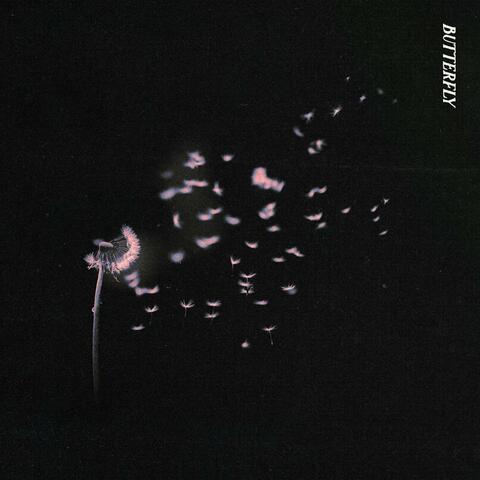 Butterfly album art