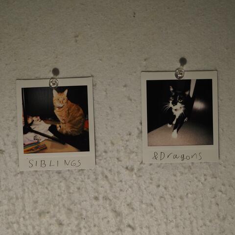 Siblings album art