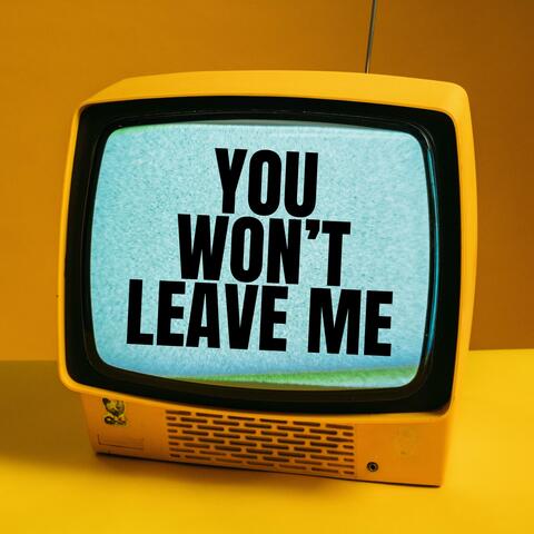 YOU WON'T LEAVE ME album art