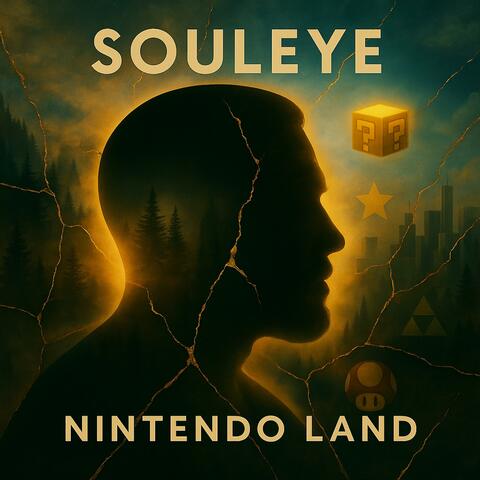 Nintendo Land album art