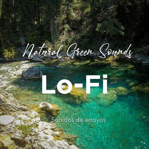lofi sonidos de arroyo suave en el bosque album art
