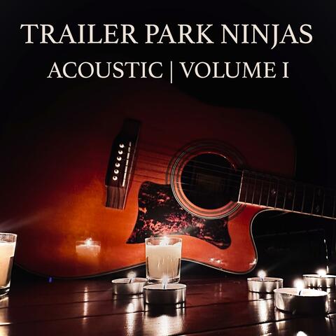 Acoustic Volume 1 album art