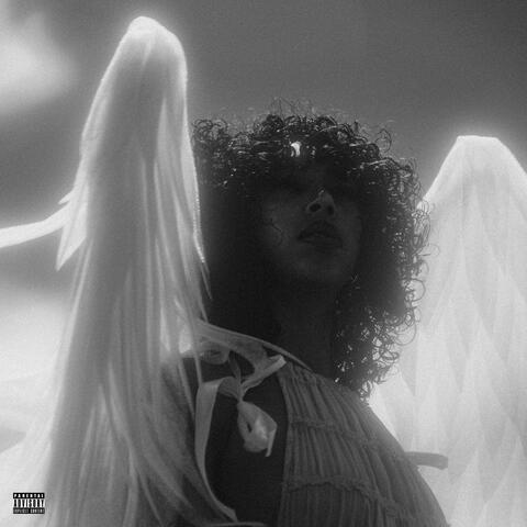 Novella Noir album art