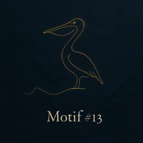 Motif #13 album art