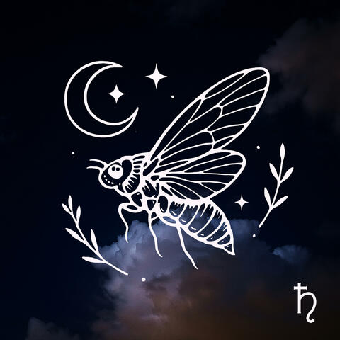 Exuvia album art