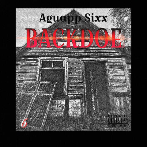 Backdoe album art