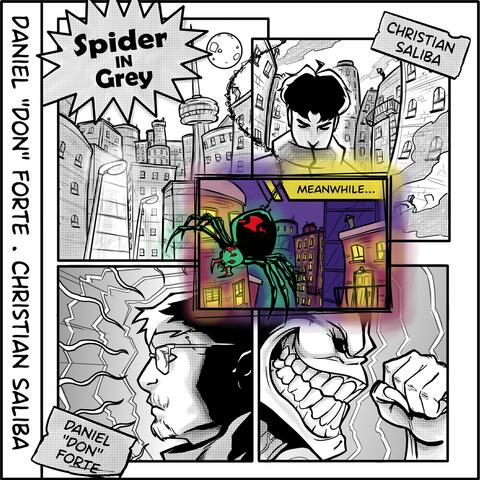 Spider In Grey album art