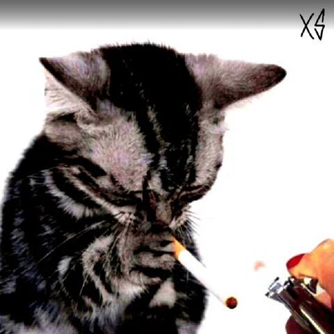 Todavía estás :c album art