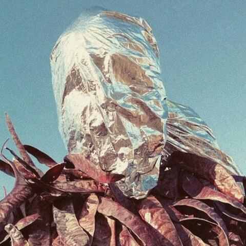The Urge album art