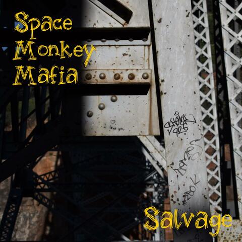 Salvage album art