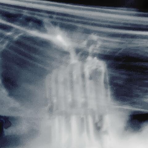稻田 album art