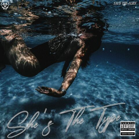 She's The Type album art