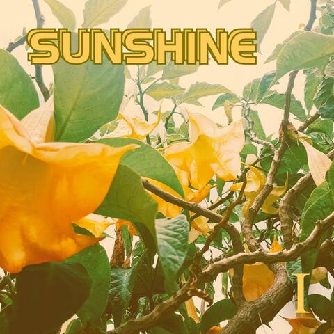 Sunshine (1) album art