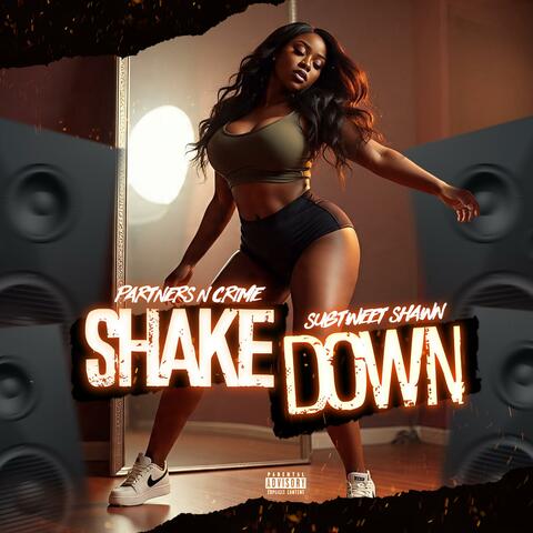 ShakeDown (feat. Subtweet Shawn) album art
