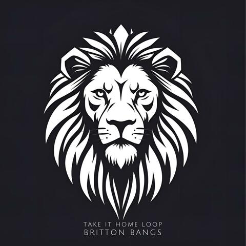 Take It Home Loop album art