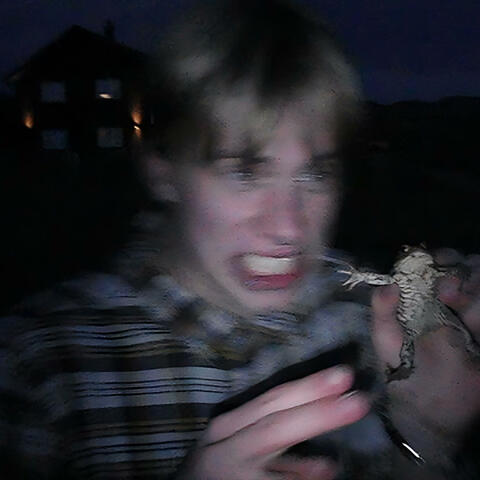 FrogFace album art
