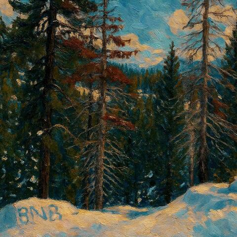 BNB The Album album art