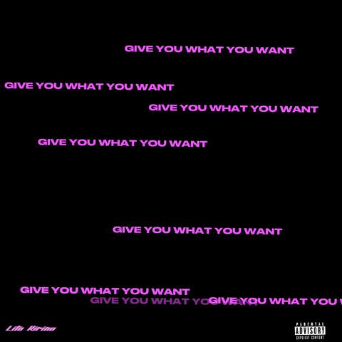 Give You What You Want album art