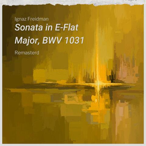Sonata E-flat major, Bwv 1031: II. Siciliano. (remasterad) album art