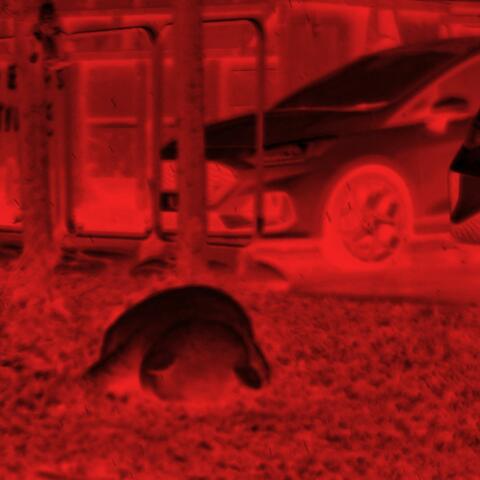 rat in the tat tat c'mon album art