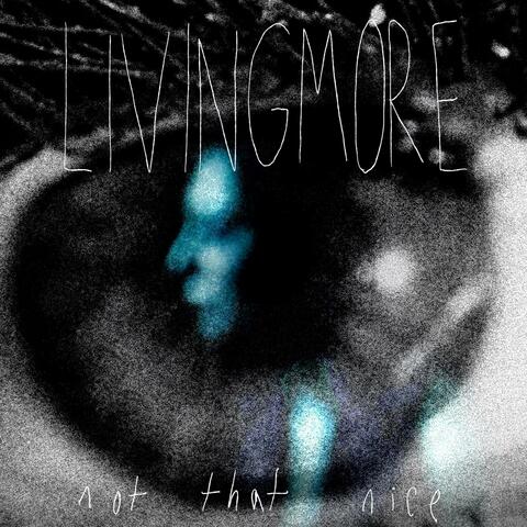 Not That Nice album art