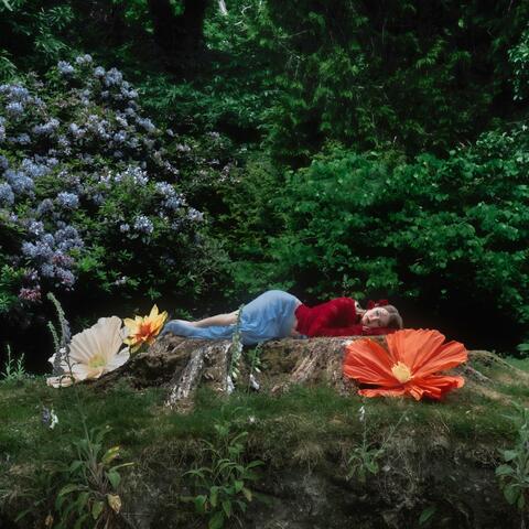 Butterflies album art