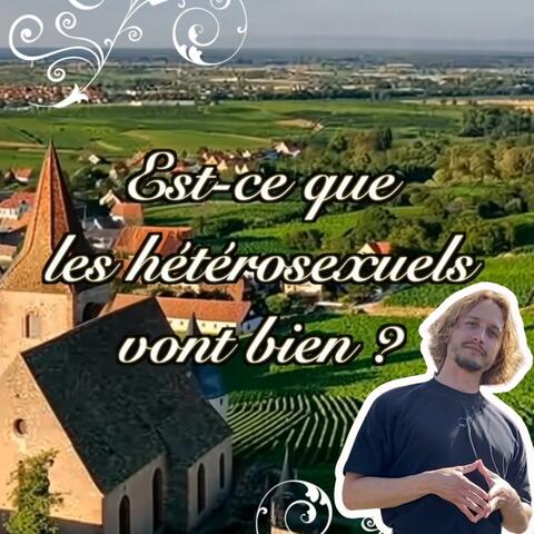Est-ce que les hétérosexuels vont bien ? album art