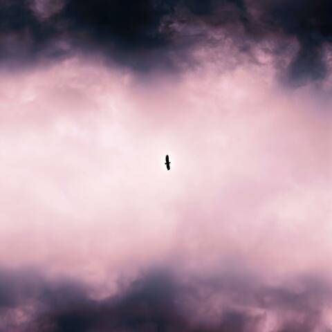 Lonely Heaven album art