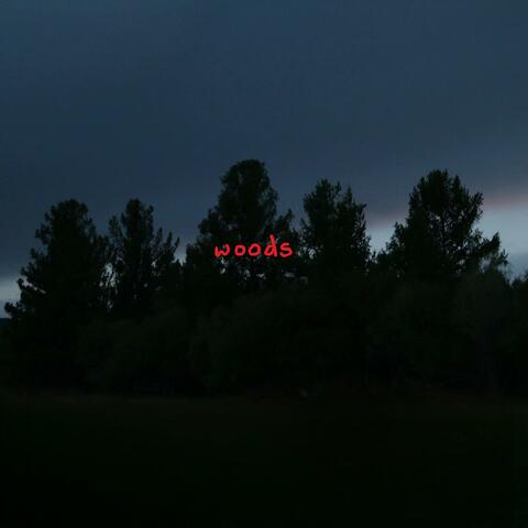 Woods album art