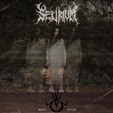 Bass Witch album art