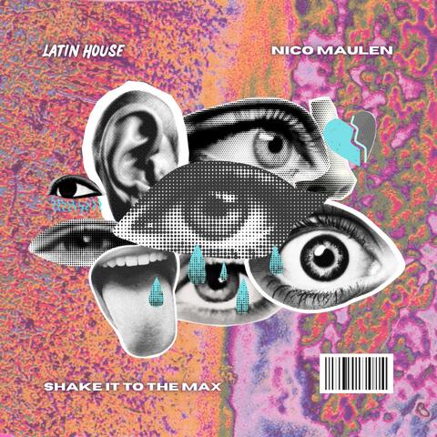 Shake It To The Max (Radio Edit) album art