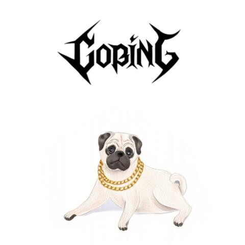 Coping album art
