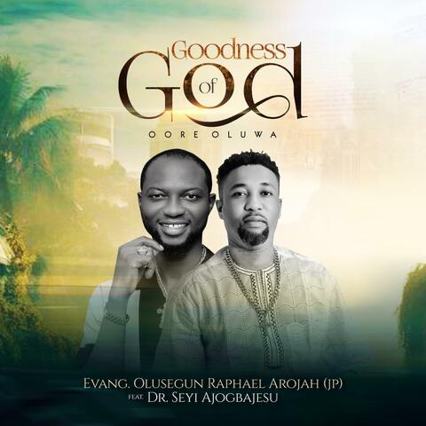 Goodness of God (feat. Dr SEYI Ajogbajesu) album art