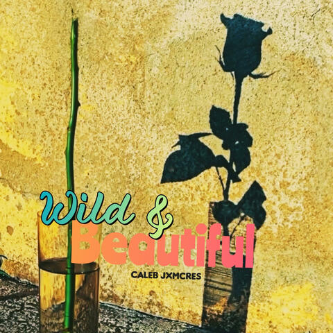 WILD & BEAUTIFUL album art