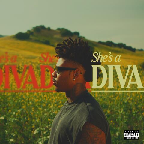 She's a Diva album art